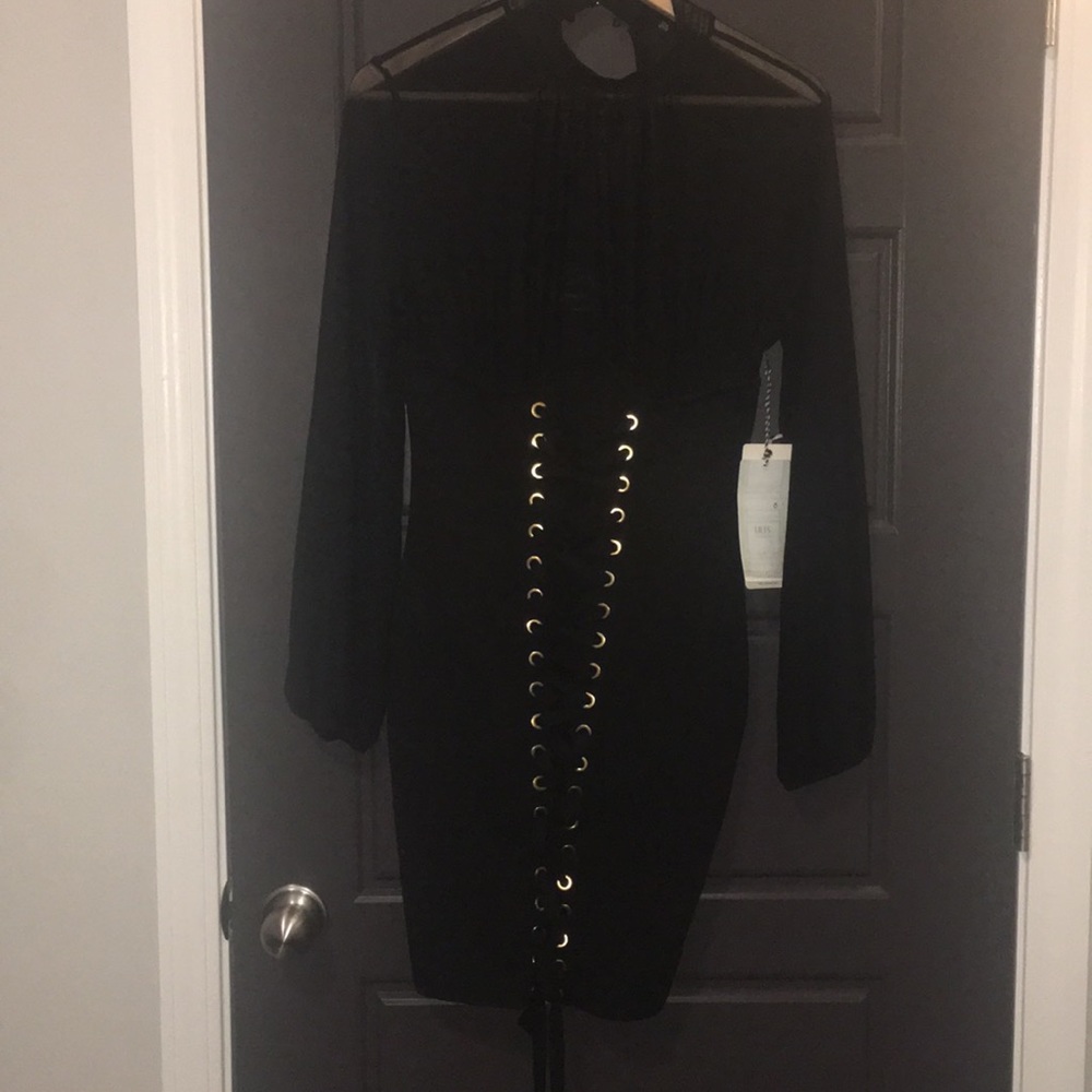 Iris Sheer Dress (name tag still attached)